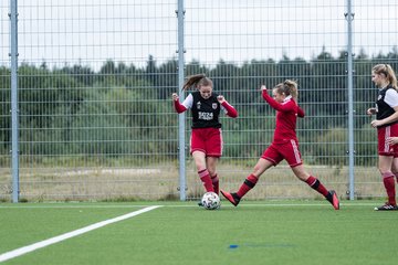 Bild 133 - F FSG Kaltenkirchen - SV Wahlstedt : Ergebnis: 6:1